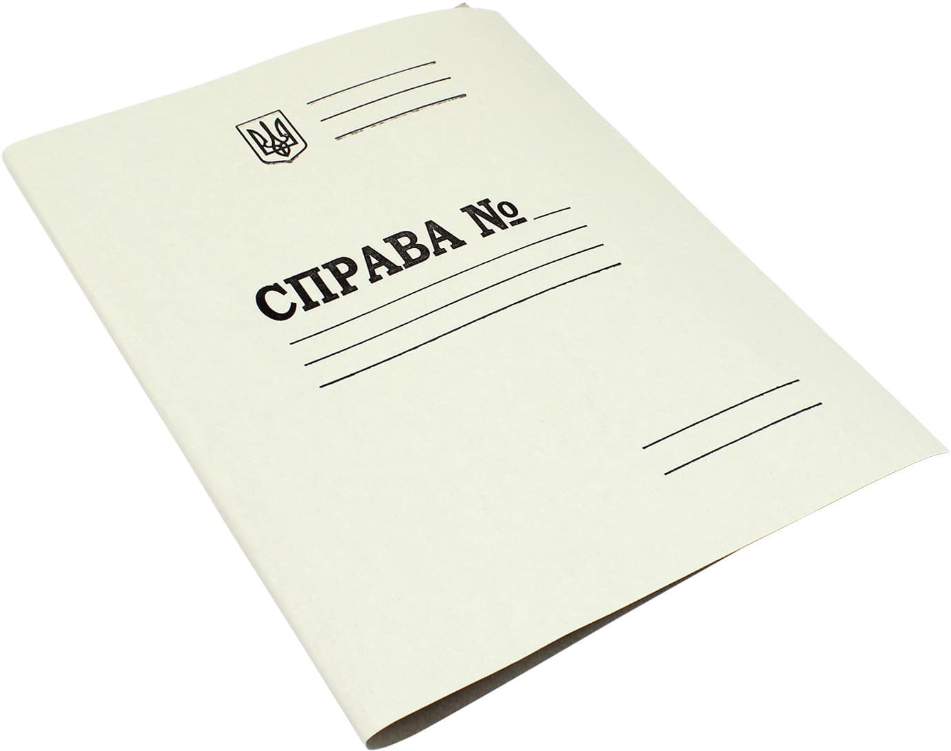 Папка-скоросшиватель DK004 А4 картонная (50)