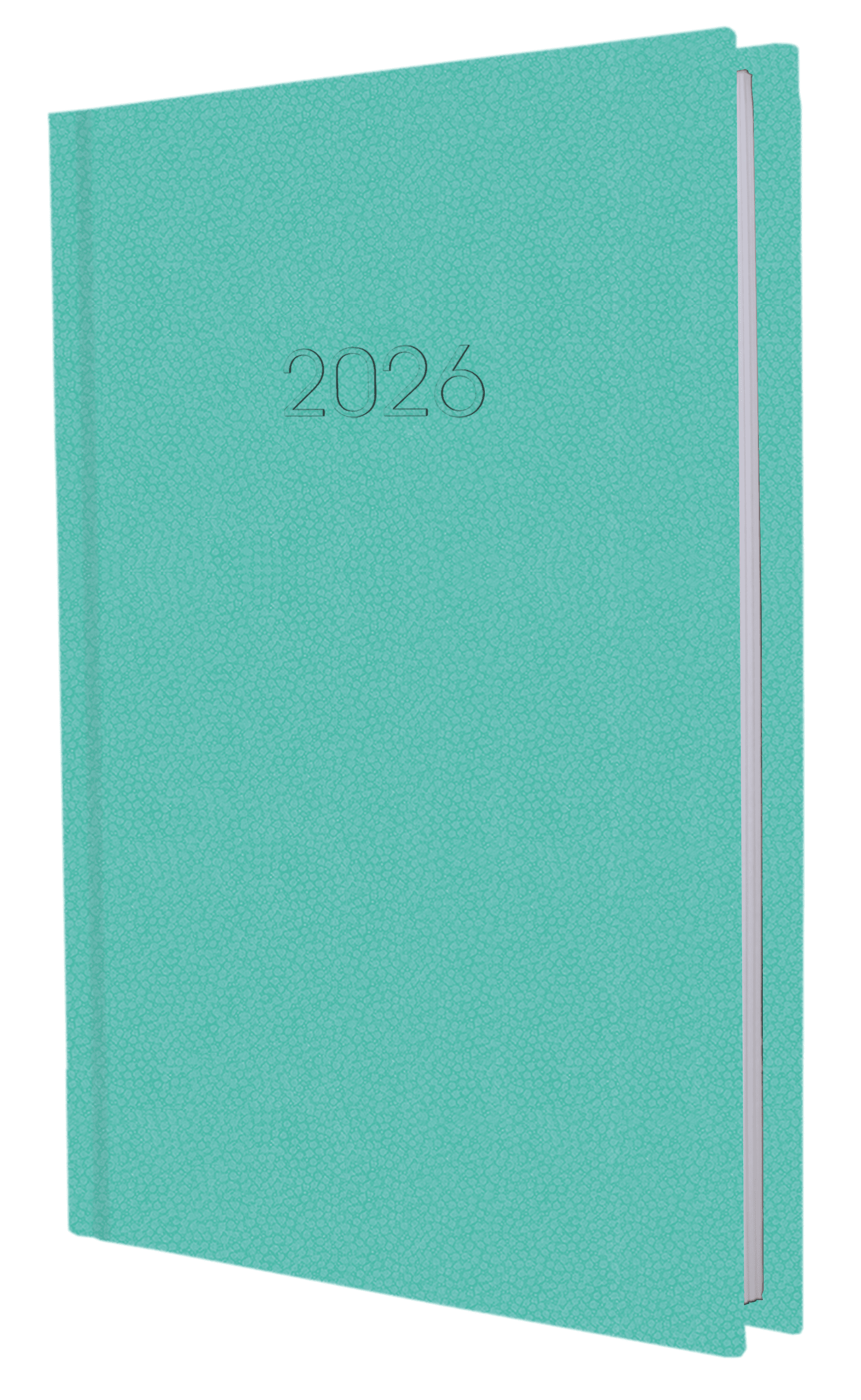 Ежедневник A5 Economix датированный 2025 Confetti бирюзовый E21613-21