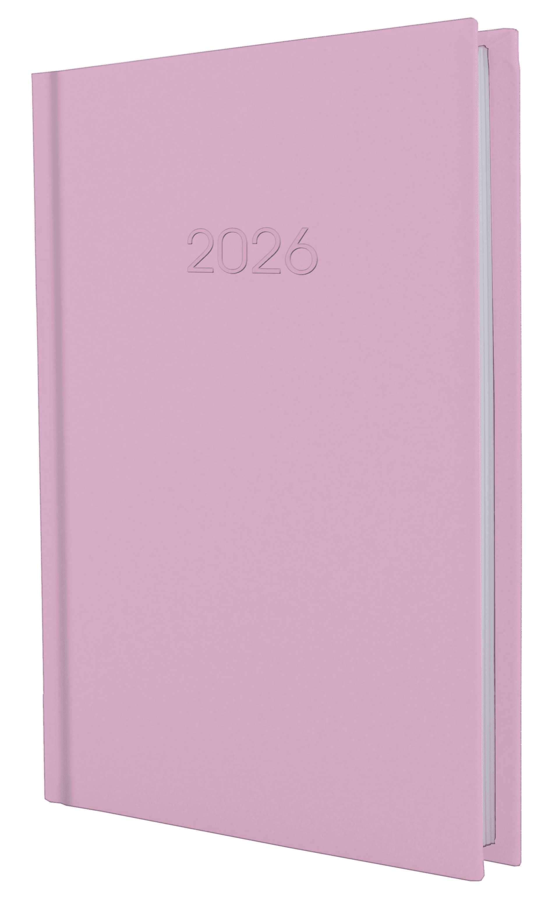Щоденник A5 Economix датований 2025 Satin рожевий E21612-09