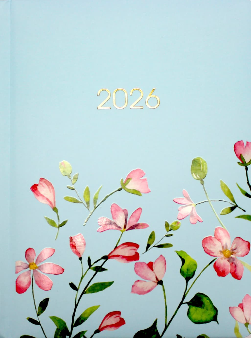 Щоденник A5 Economix датований 2025 E21839