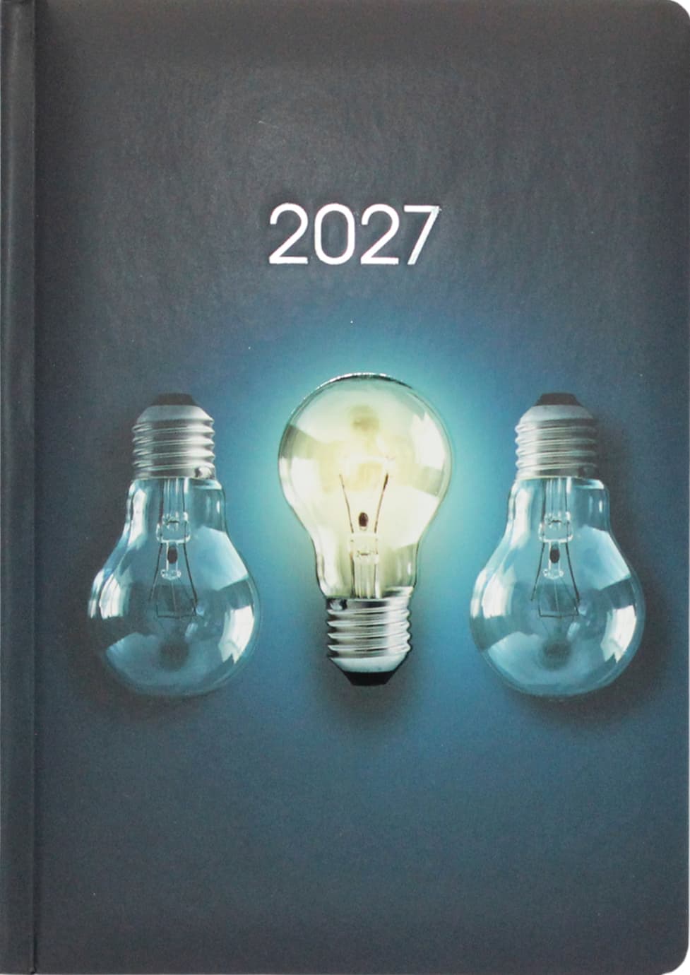 Щоден. А5 "Economix" дат2027 світло №E21943