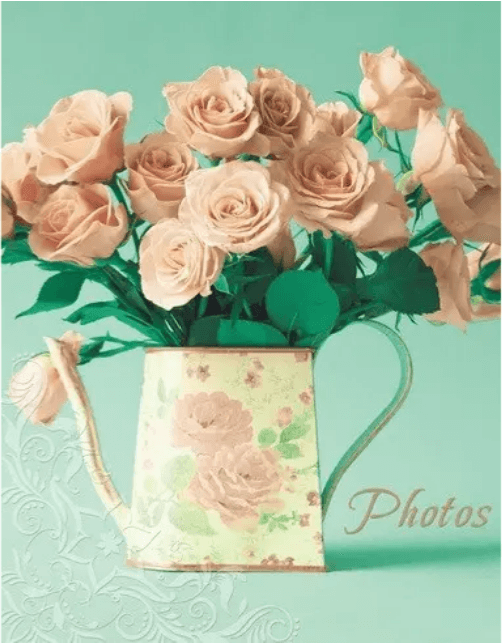Фотоальбом "UFO" №PP-46200 10х15х200 Turquoise Rose