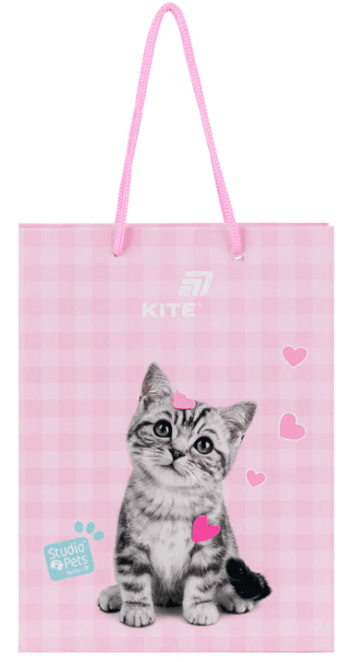Пакет подарунковий папер. "Kite" Cinnamoroll №CR26-266 26х32см(5)