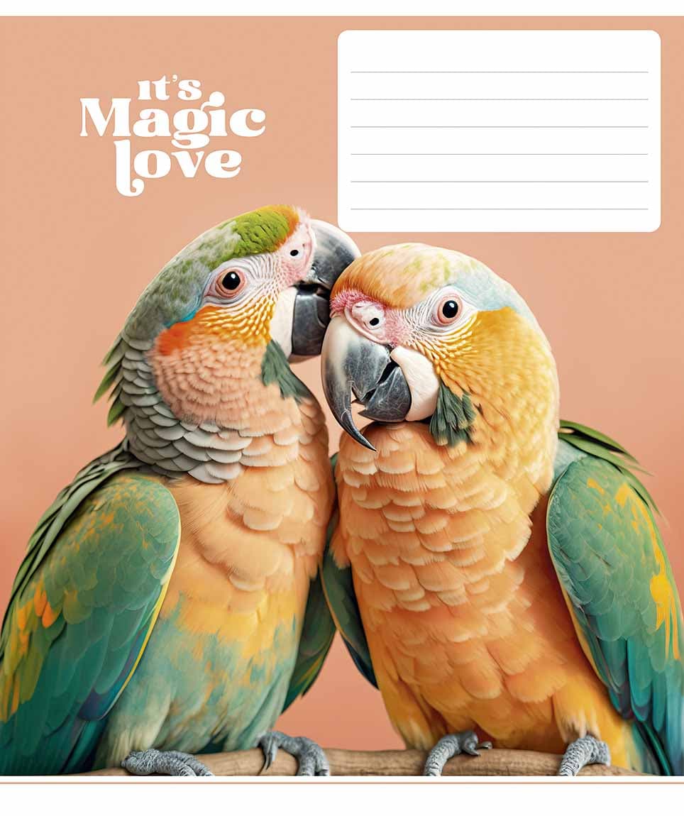 Зошит 12арк. лін. Star "It's a magic love" ВД-лак №012-3300L(30)(360)