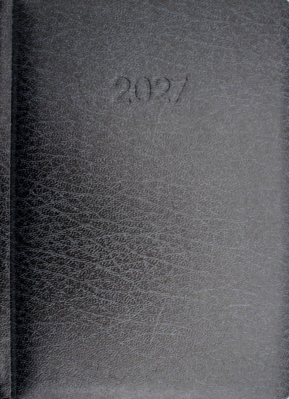 Щоденник датований 2027 Economix Стиль А5 темно-сірий E21636-56