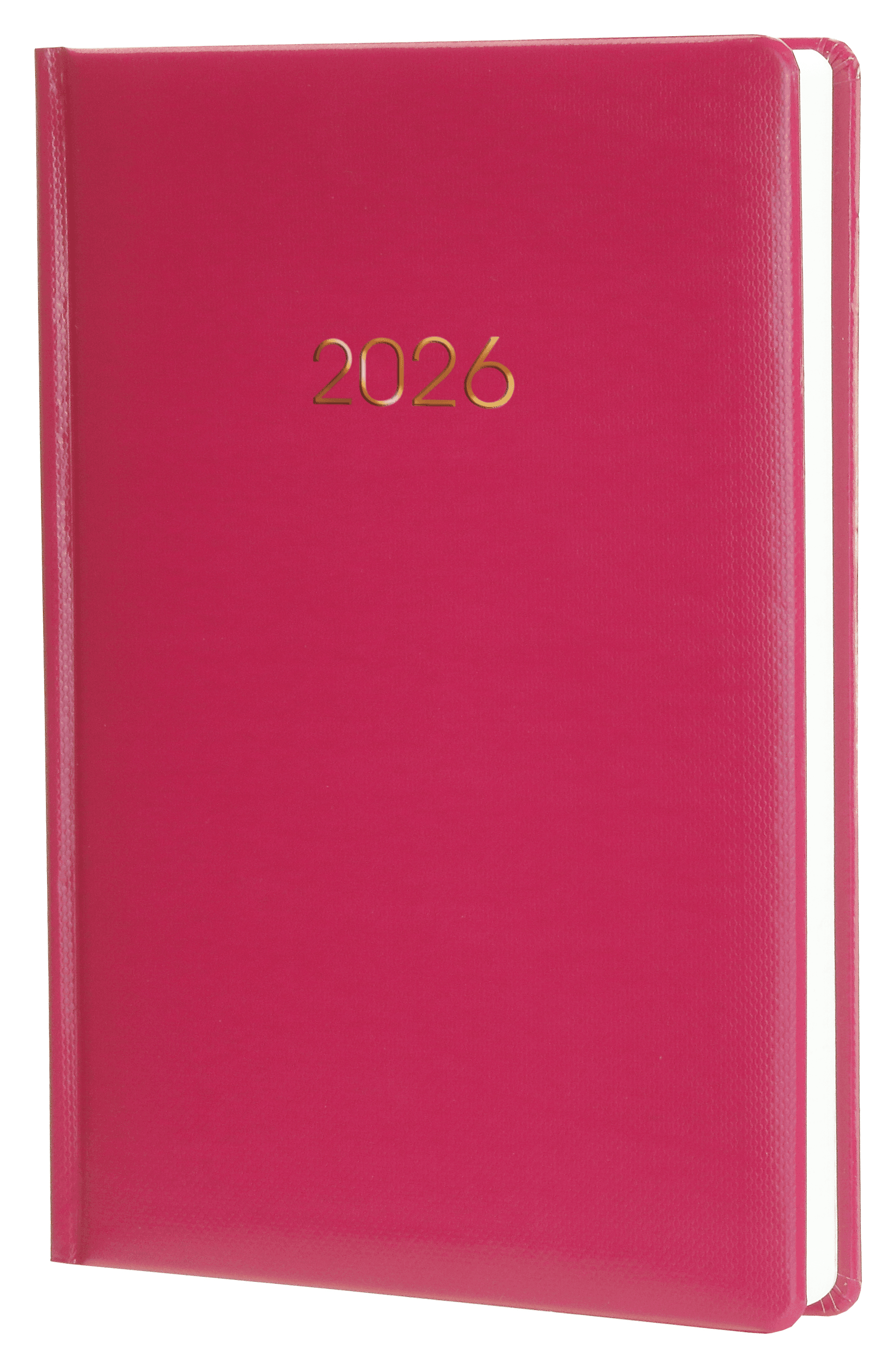 Щоденник A5 Economix датований 2025 Spectrum бордовий №E21847